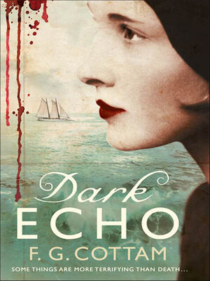 cover image of Dark Echo